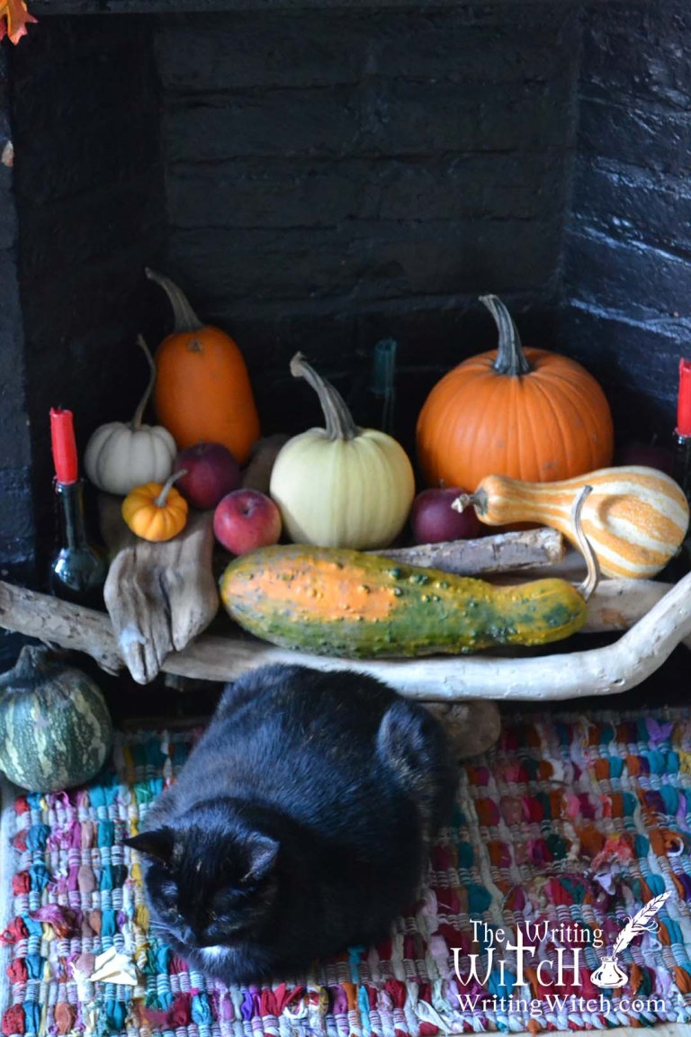 black cat with pumpkin decor and fireplace