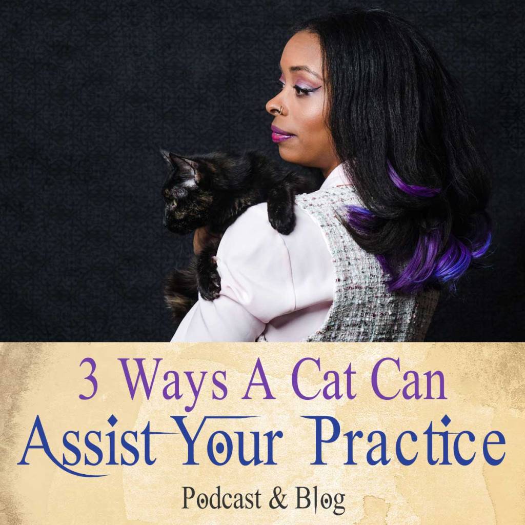 3 Ways A Cat Can Assist In Your Magickal Practice