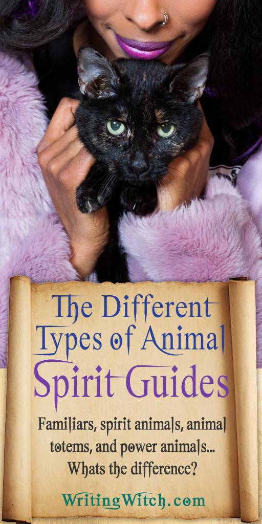 Types Of Animal Spirit Guides (Podcast Episode 66) – The Writing Witch