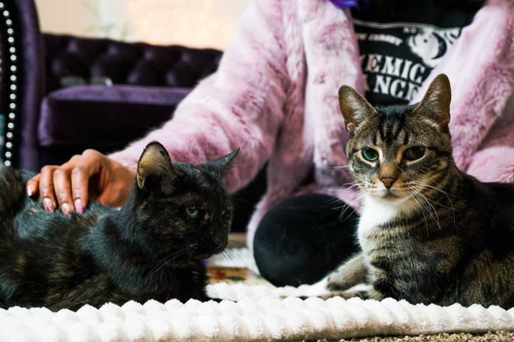 Afura with animal familiar cats