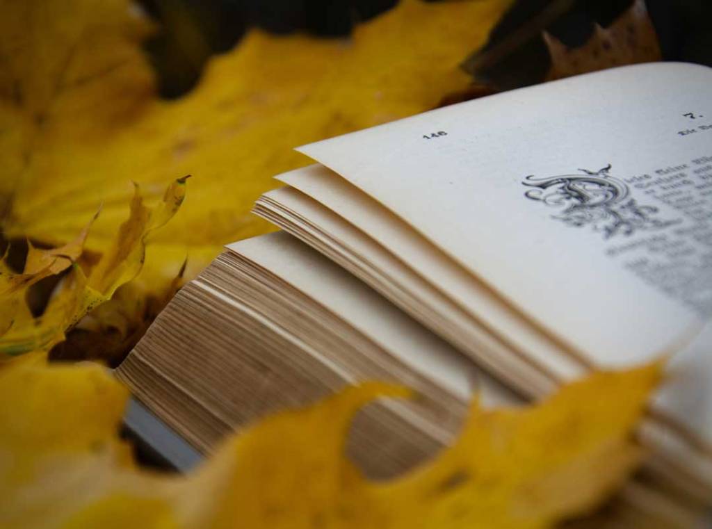 Autumn book reading