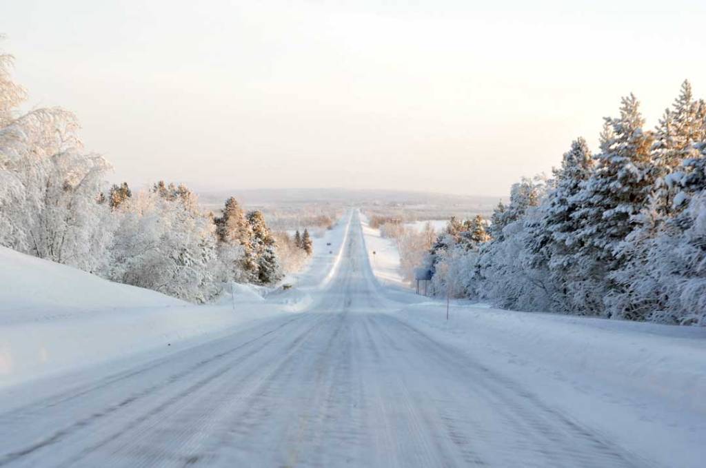 Winter path with snow and trees