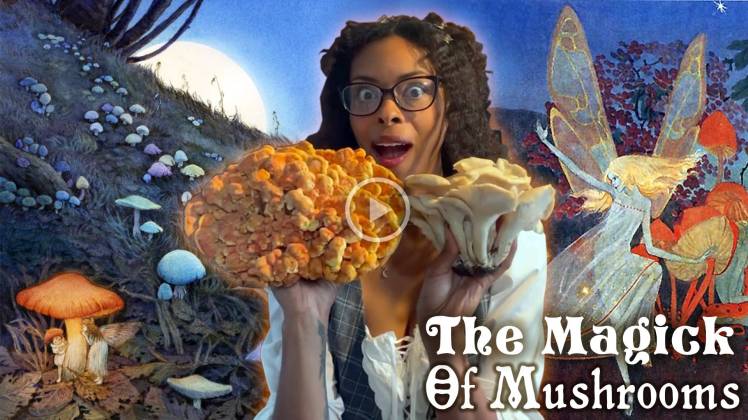 A woman holding two large types of mushrooms in a whimsical setting, with a magical forest background featuring various mushrooms and fantasy elements.